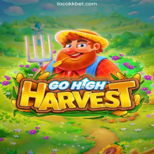 Discover the Exciting World of GoHighHarvest and the Reliable TocoKK Cassino
